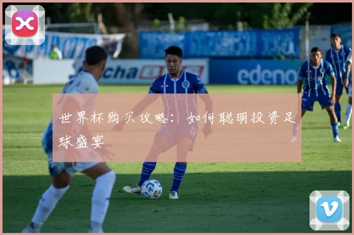 世界杯购买攻略：如何聪明投资足球盛宴
