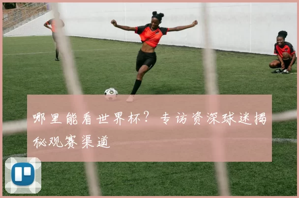 哪里能看世界杯?专访资深球迷揭秘观赛渠道