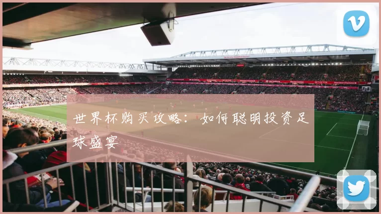 世界杯购买攻略：如何聪明投资足球盛宴
