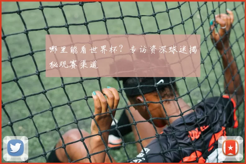 哪里能看世界杯?专访资深球迷揭秘观赛渠道