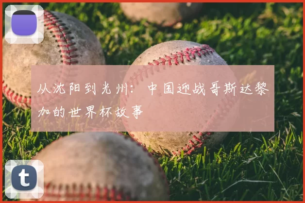 从沈阳到光州：中国迎战哥斯达黎加的世界杯故事
