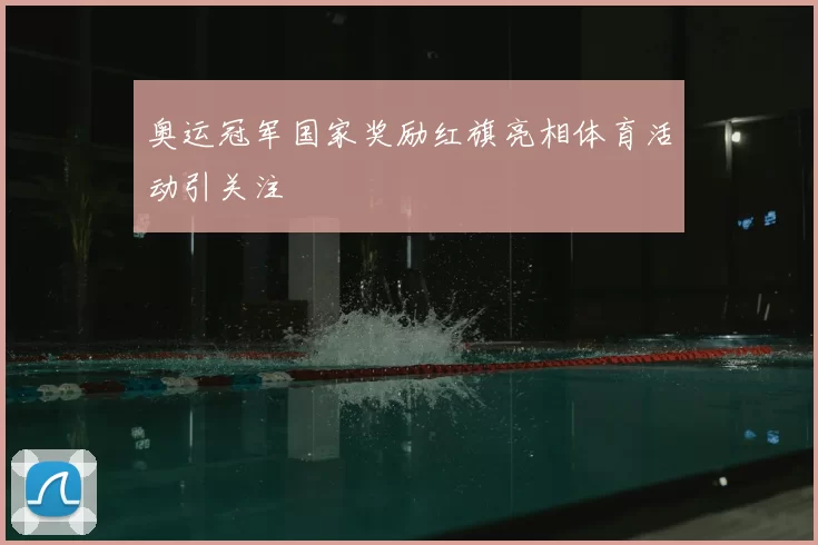 奥运冠军国家奖励红旗亮相体育活动引关注