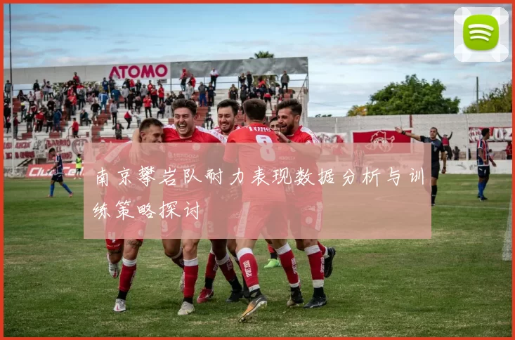 南京攀岩队耐力表现数据分析与训练策略探讨