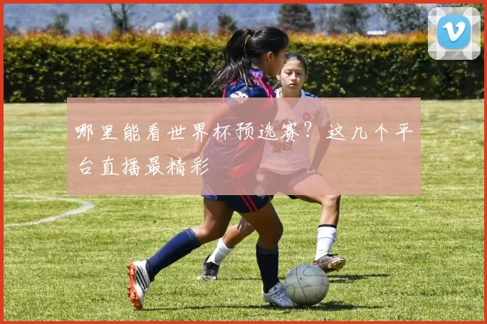 哪里能看世界杯预选赛?这几个平台直播最精彩