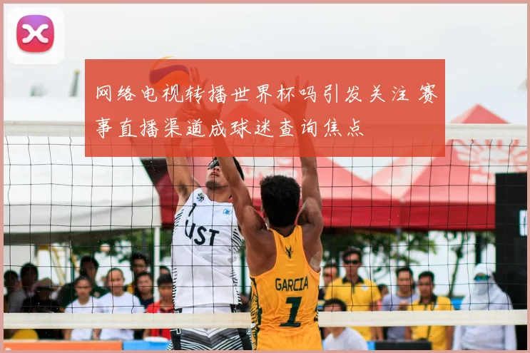 网络电视转播世界杯吗引发关注 赛事直播渠道成球迷查询焦点