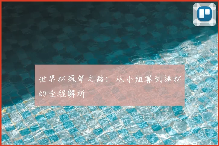 世界杯冠军之路：从小组赛到捧杯的全程解析