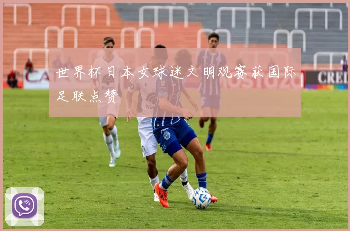 世界杯日本女球迷文明观赛获国际足联点赞