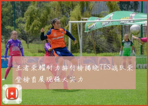 王者荣耀耐力排行榜揭晓TES战队荣登榜首展现强大实力