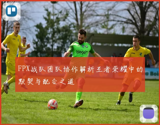 FPX战队团队协作解析王者荣耀中的默契与配合之道