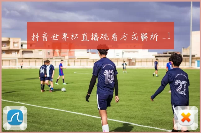 抖音世界杯直播观看方式解析 _1