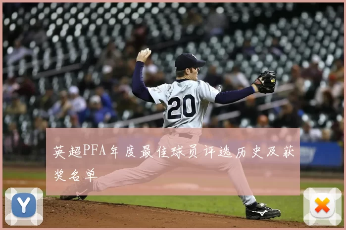 英超PFA年度最佳球员评选历史及获奖名单
