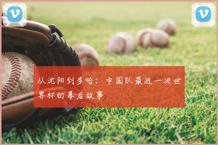 从沈阳到多哈:中国队最近一次世界杯的幕后故事
