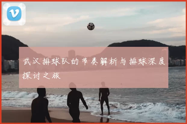 武汉排球队的节奏解析与排球深度探讨之旅