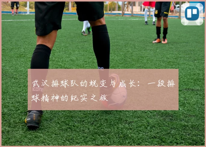 武汉排球队的蜕变与成长：一段排球精神的纪实之旅