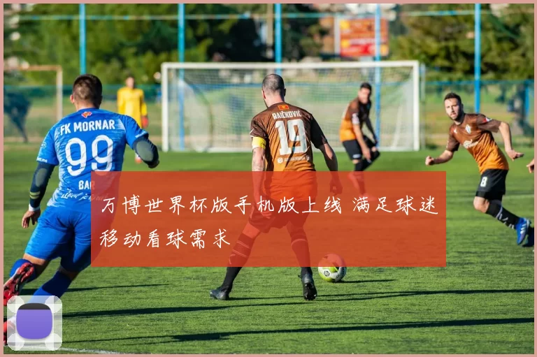 万博世界杯版手机版上线 满足球迷移动看球需求