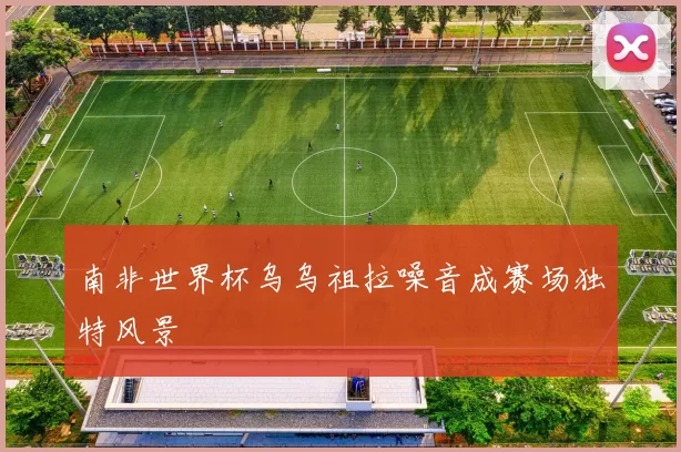 南非世界杯乌乌祖拉噪音成赛场独特风景