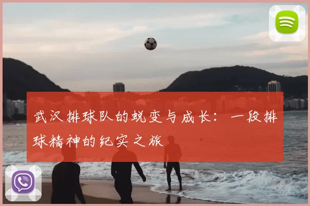 武汉排球队的蜕变与成长：一段排球精神的纪实之旅