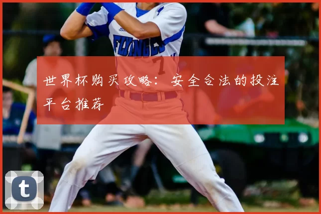 世界杯购买攻略:安全合法的投注平台推荐